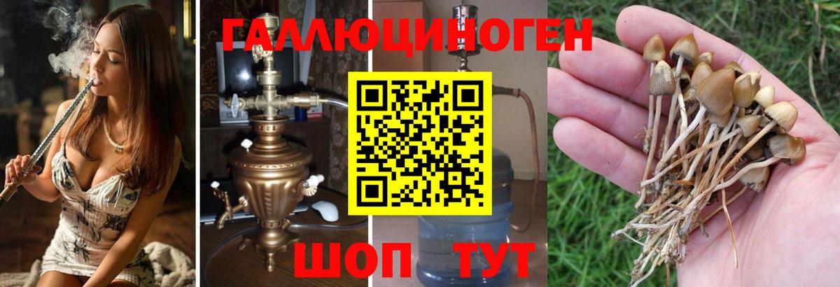 Галлюциногенные грибы MAGIC MUSHROOMS Волгоград
